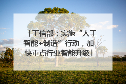 工信部：实施“人工智能+制造”行动，加快重点行业智能升级
