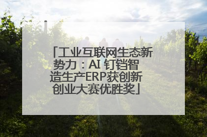 工业互联网生态新势力：AI 钉铛智造生产ERP获创新创业大赛优胜奖