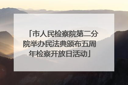 市人民检察院第二分院举办民法典颁布五周年检察开放日活动