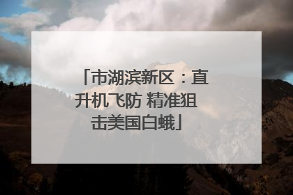 市湖滨新区：直升机飞防 精准狙击美国白蛾