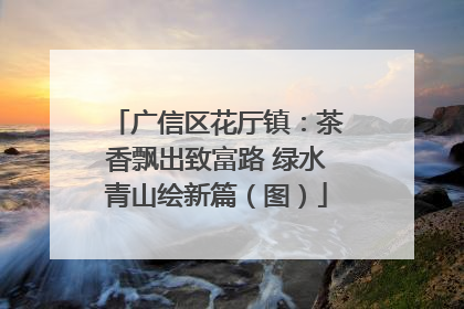广信区花厅镇：茶香飘出致富路 绿水青山绘新篇（图）