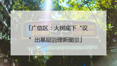 广信区：大树底下“议”出基层治理新图景
