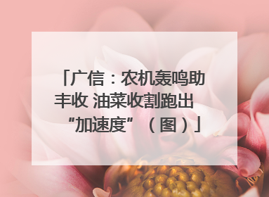 广信：农机轰鸣助丰收 油菜收割跑出“加速度”（图）