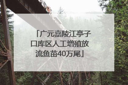 广元嘉陵江亭子口库区人工增殖放流鱼苗40万尾