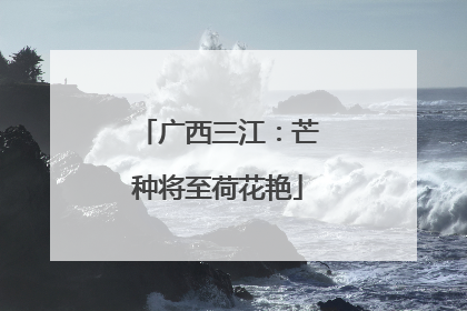 广西三江：芒种将至荷花艳
