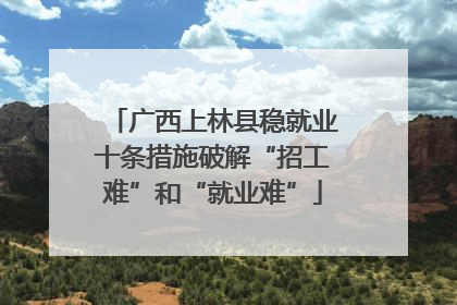 广西上林县稳就业十条措施破解“招工难”和“就业难”