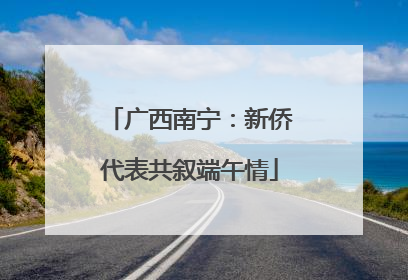 广西南宁：新侨代表共叙端午情