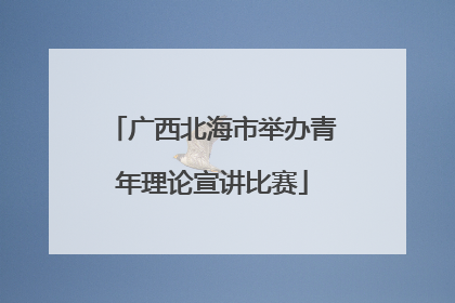 广西北海市举办青年理论宣讲比赛