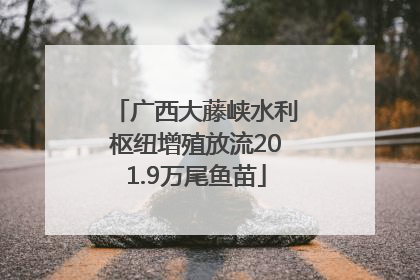 广西大藤峡水利枢纽增殖放流201.9万尾鱼苗