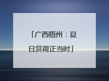 广西梧州：夏日赏荷正当时