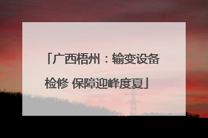 广西梧州：输变设备检修 保障迎峰度夏