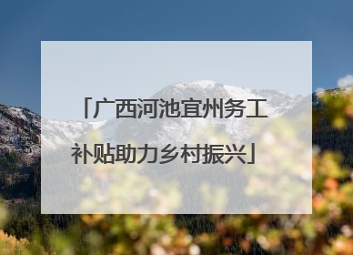 广西河池宜州务工补贴助力乡村振兴