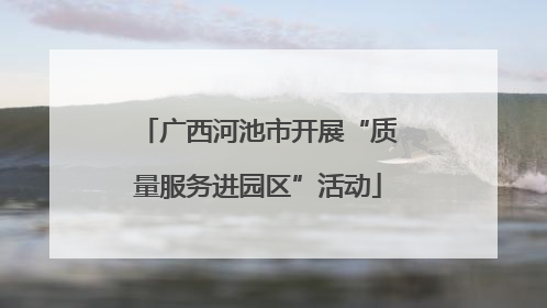 广西河池市开展“质量服务进园区”活动
