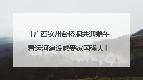广西钦州台侨胞共迎端午 看运河建设感受家国强大