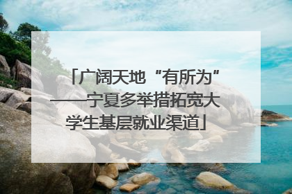 广阔天地“有所为”——宁夏多举措拓宽大学生基层就业渠道