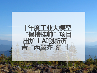年度工业大模型“揭榜挂帅”项目出炉！AI创新济青“两翼齐飞”