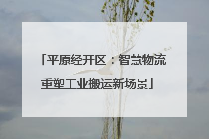 平原经开区：智慧物流重塑工业搬运新场景