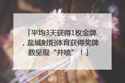 平均3天获得1枚金牌，盐城射阳体育获得奖牌数呈现“井喷”！