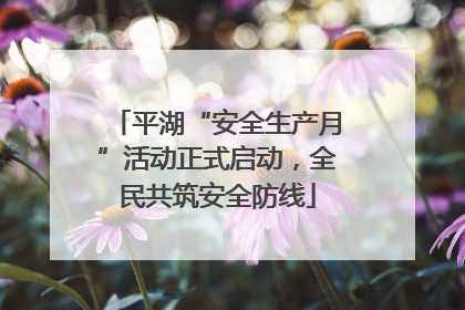 平湖“安全生产月”活动正式启动，全民共筑安全防线