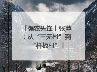 强农先锋丨张萍：从“三无村”到“样板村”
