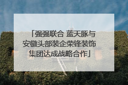 强强联合 蓝天豚与安徽头部装企荣锋装饰集团达成战略合作