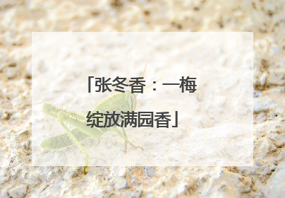 张冬香：一梅绽放满园香