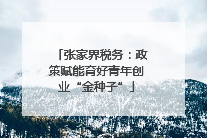 张家界税务：政策赋能育好青年创业“金种子”