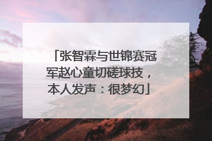 张智霖与世锦赛冠军赵心童切磋球技，本人发声：很梦幻