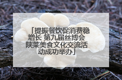 提振餐饮促消费稳增长 第九届丝博会陕菜美食文化交流活动成功举办