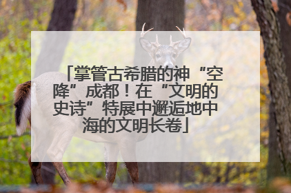掌管古希腊的神“空降”成都！在“文明的史诗”特展中邂逅地中海的文明长卷