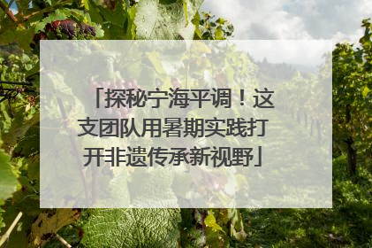 探秘宁海平调！这支团队用暑期实践打开非遗传承新视野