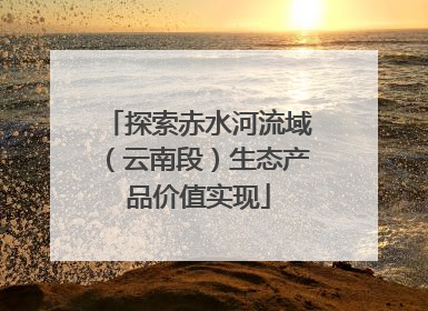 探索赤水河流域（云南段）生态产品价值实现