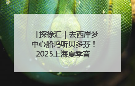 探徐汇｜去西岸梦中心船坞听贝多芬！2025上海夏季音乐节公布节目阵容