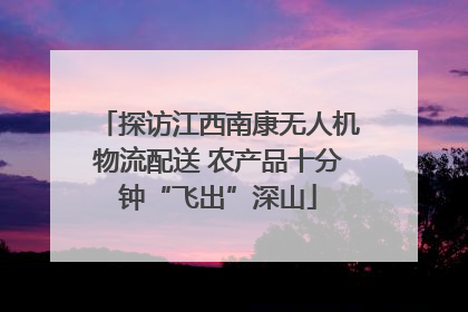 探访江西南康无人机物流配送 农产品十分钟“飞出”深山