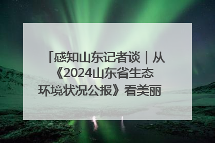 感知山东记者谈｜从《2024山东省生态环境状况公报》看美丽山东建设的“成绩单”与“任务书”