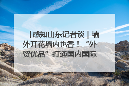 感知山东记者谈｜墙外开花墙内也香！“外贸优品”打通国内国际市场“旋转门”