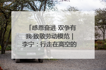 感恩奋进 双争有我·致敬劳动模范｜李宁：行走在高空的“电网卫士”