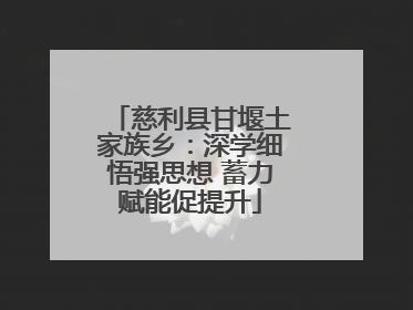 慈利县甘堰土家族乡：深学细悟强思想 蓄力赋能促提升
