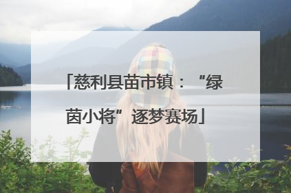 慈利县苗市镇：“绿茵小将”逐梦赛场