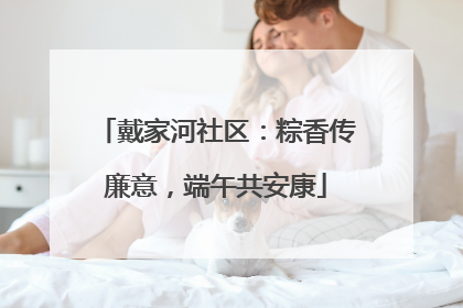 戴家河社区：粽香传廉意，端午共安康