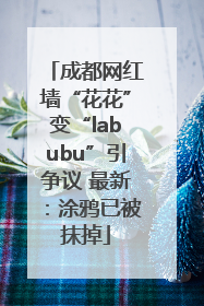 成都网红墙“花花”变“labubu”引争议 最新：涂鸦已被抹掉