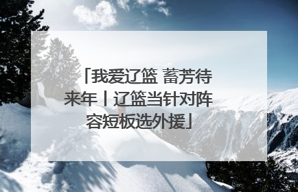 我爱辽篮 蓄芳待来年丨辽篮当针对阵容短板选外援