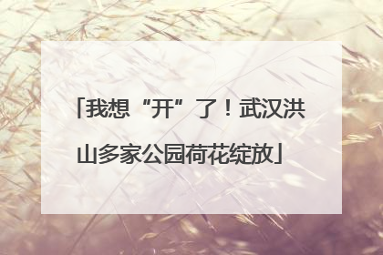 我想“开”了！武汉洪山多家公园荷花绽放