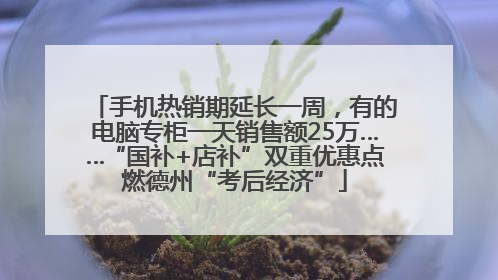手机热销期延长一周，有的电脑专柜一天销售额25万……“国补+店补”双重优惠点燃德州“考后经济”