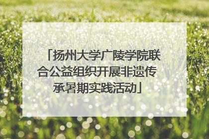 扬州大学广陵学院联合公益组织开展非遗传承暑期实践活动