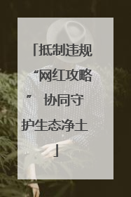 抵制违规“网红攻略” 协同守护生态净土