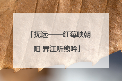 抚远——红莓映朝阳 界江听熊吟