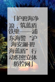 护碧海净浪，筑蓝盾铁壁——浦东海警“沪海安澜·碧海蓝盾”行动织密立体防控网