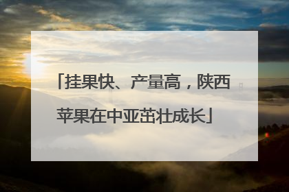 挂果快、产量高，陕西苹果在中亚茁壮成长