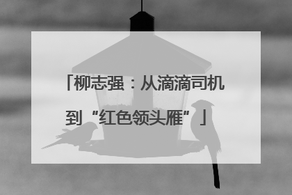 柳志强：从滴滴司机到“红色领头雁”
